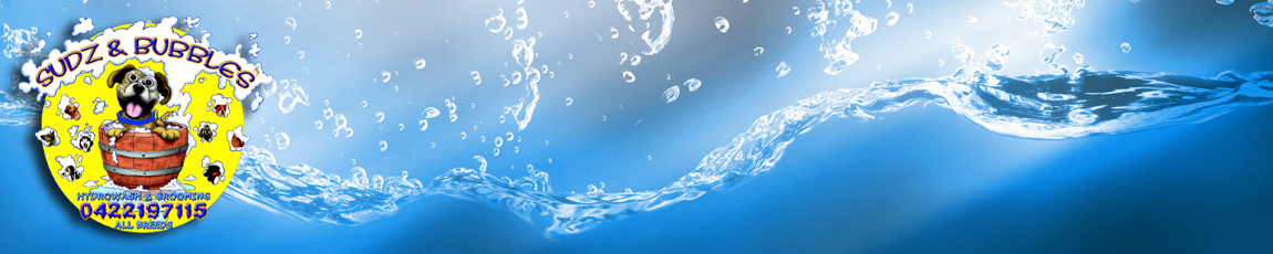 Hydrowash & Grooming